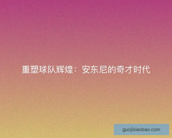 重塑球队辉煌:安东尼的奇才时代 重塑球队辉煌:安东尼的奇才时代