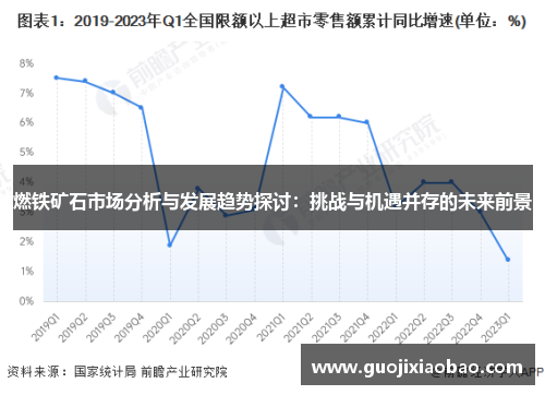 燃铁矿石市场分析与发展趋势探讨：挑战与机遇并存的未来前景